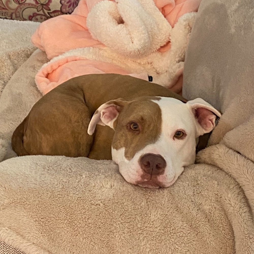 Meet your Posher, CathyBunny